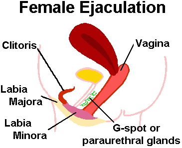 female-ejaculation